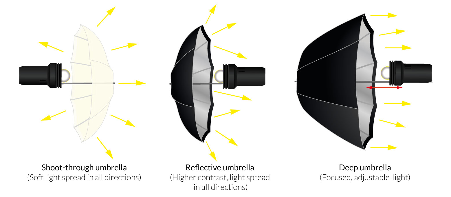 Types of umbrella modifiers